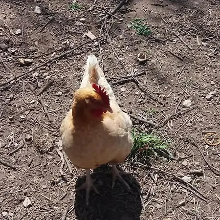 Chez Titian Vue Sur Le Mont St Michel Отель типа 