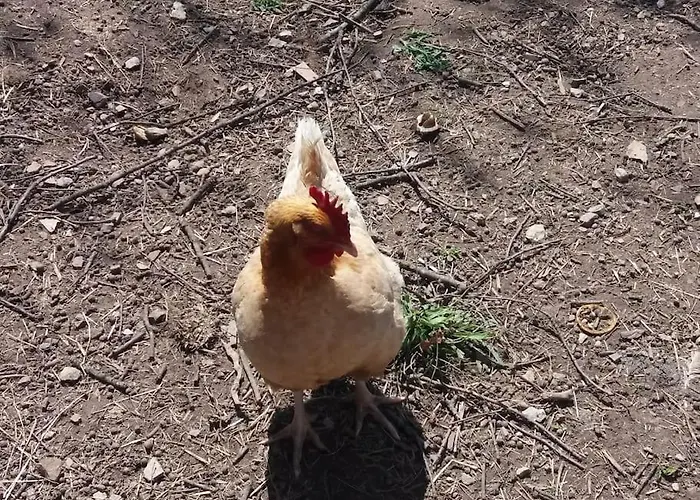 Chez Titian Vue Sur Le Mont St Michel Bed & Breakfast Pontaubault